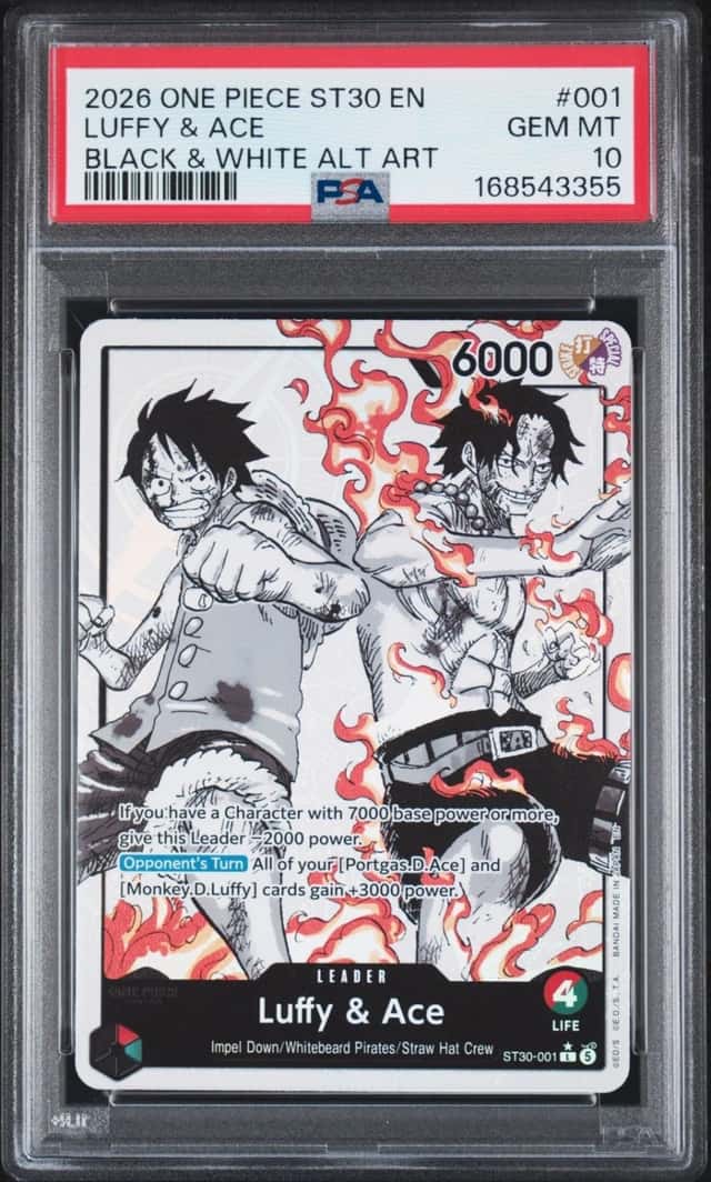 Luffy & Ace