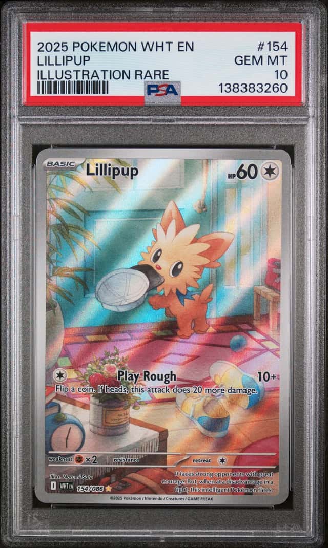 Lillipup