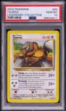Tauros