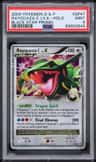 Rayquaza C Lv X