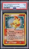 Torchic