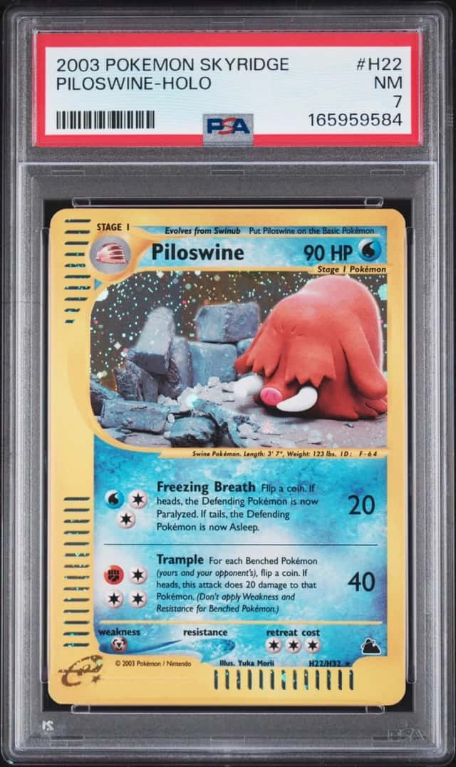 Piloswine