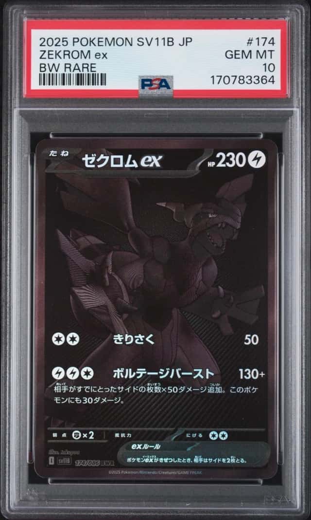 ZEKROM ex