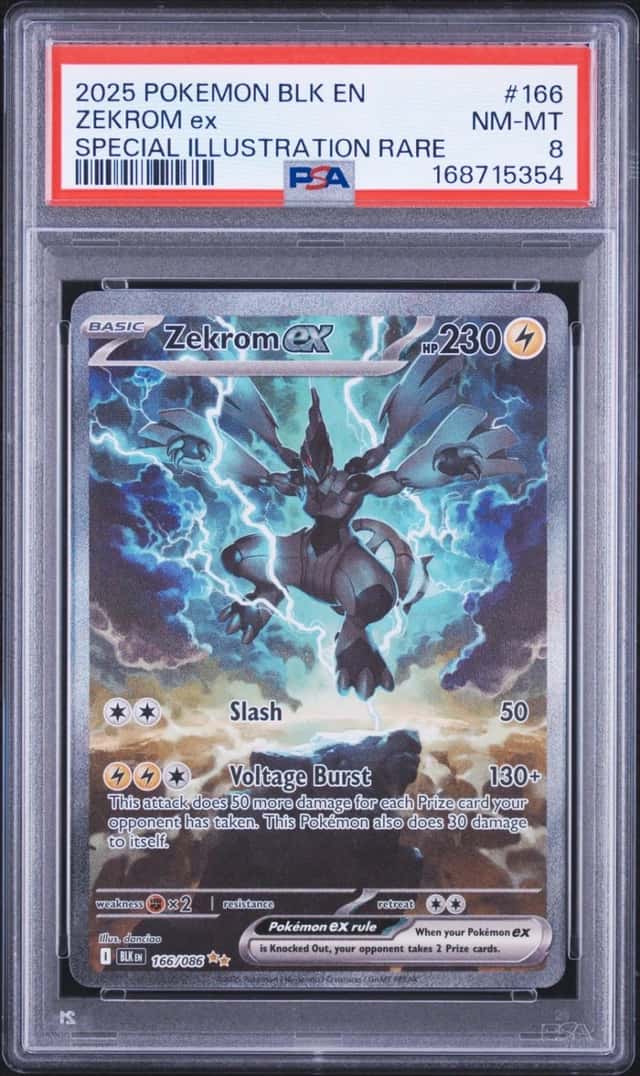 ZEKROM ex