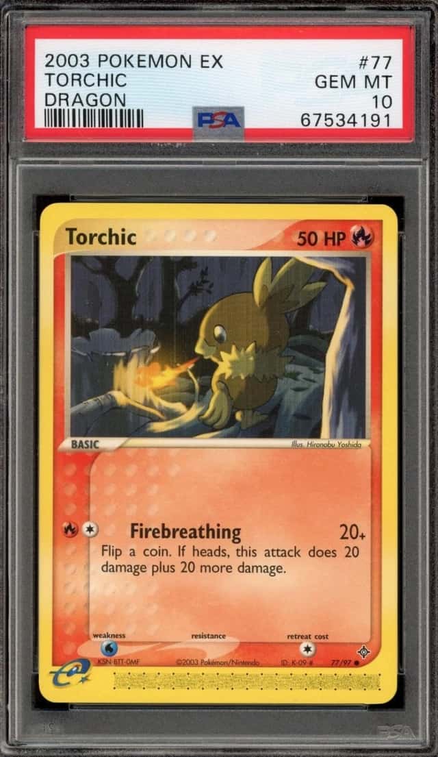 Torchic