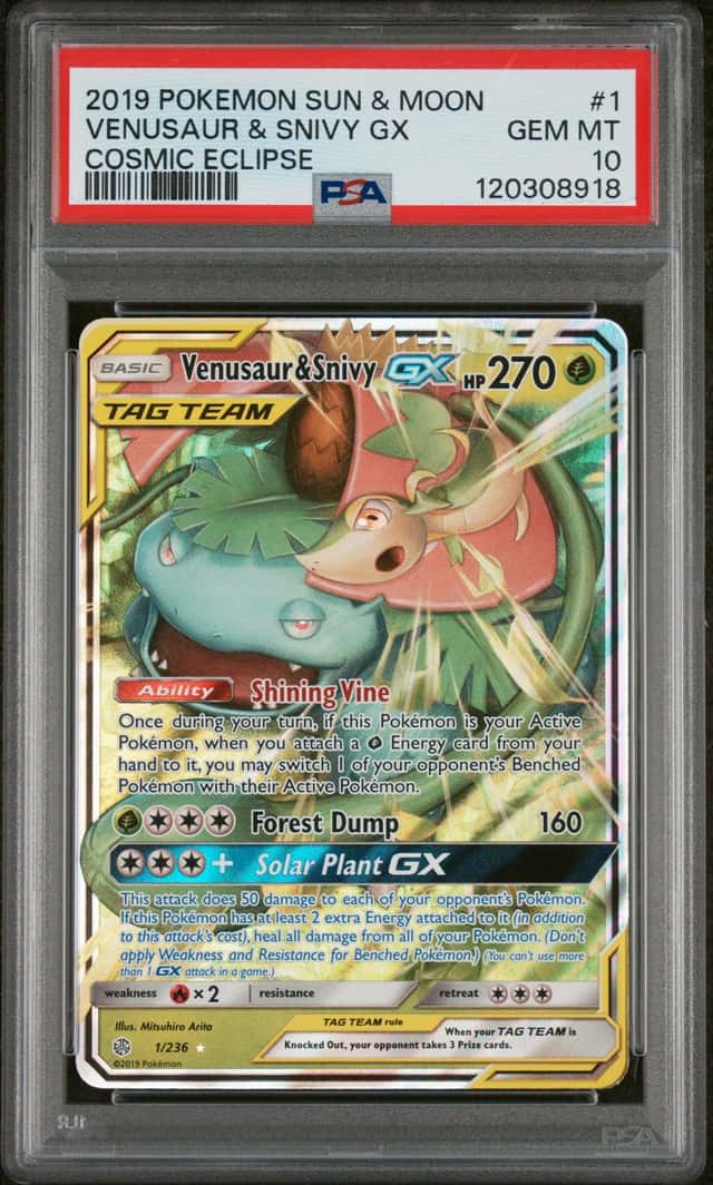 Venusaur & Snivy GX