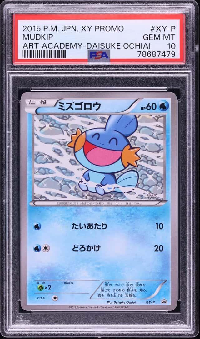 Mudkip