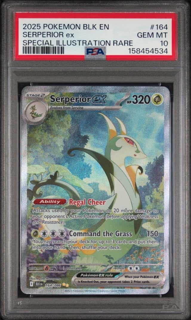 SERPERIOR ex