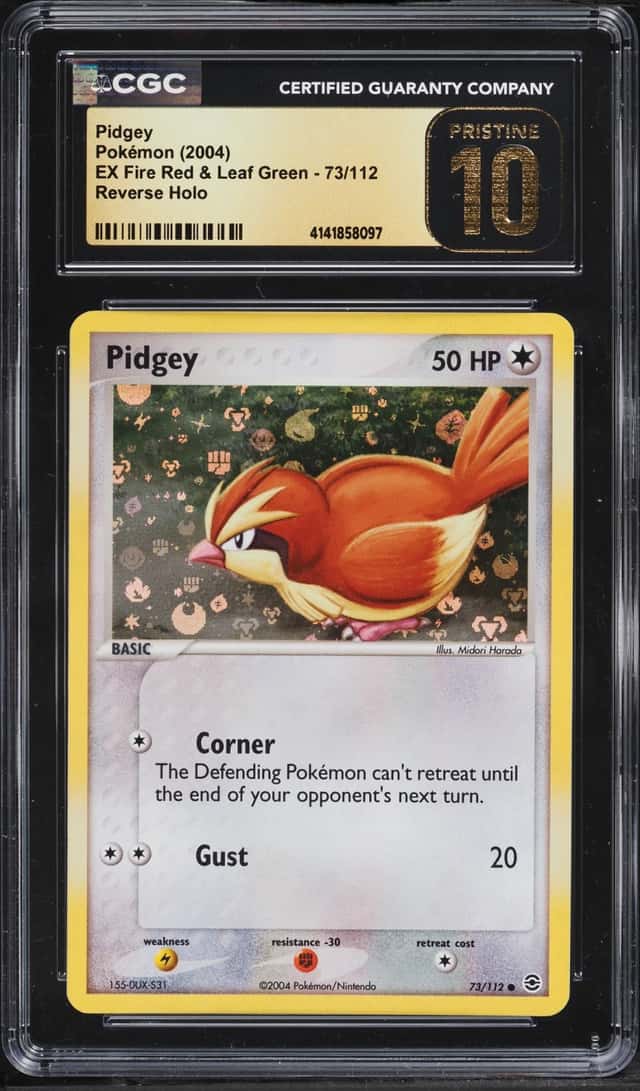 Pidgey