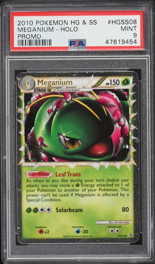 Meganium
