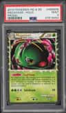 Meganium