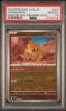 Sandshrew