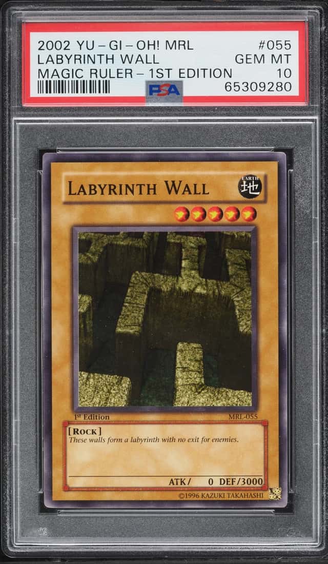 Labyrinth Wall