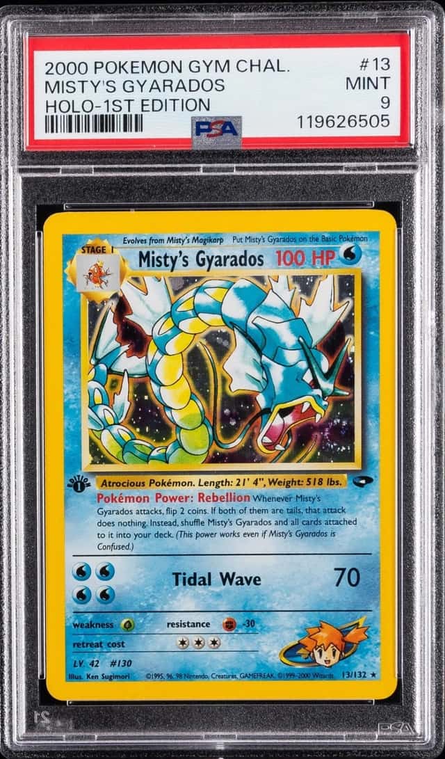 Misty's Gyarados