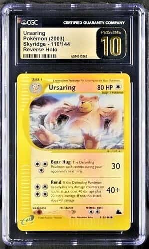Ursaring