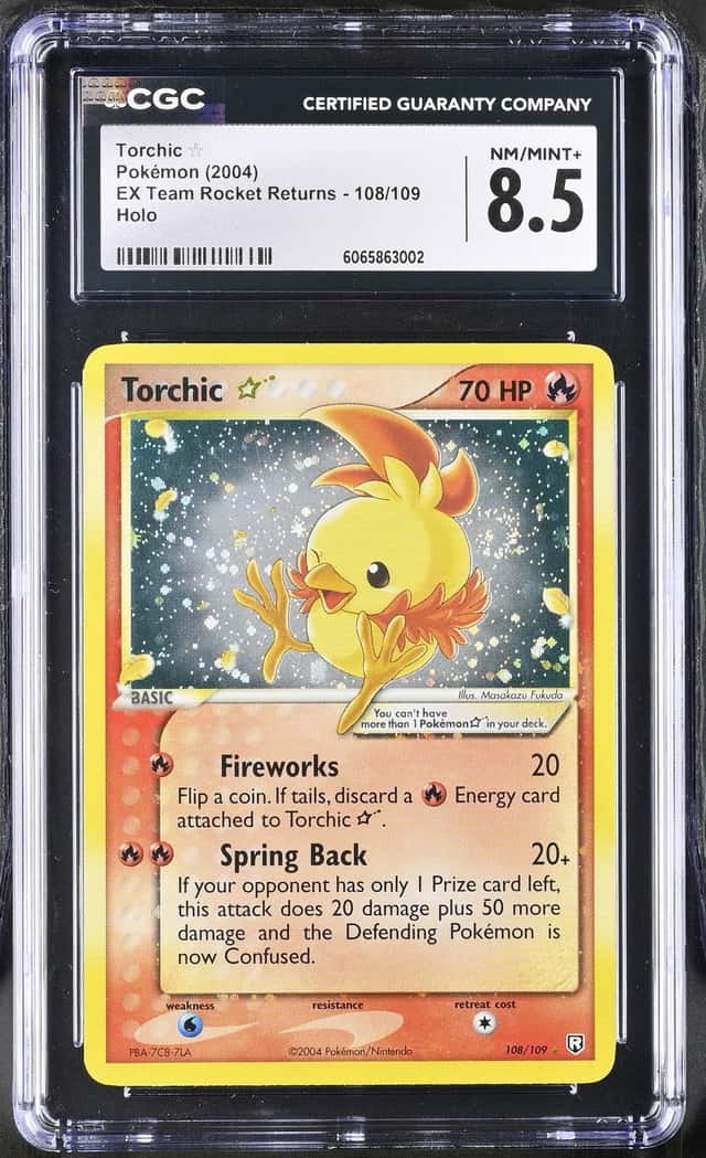 Torchic