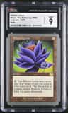 Blacker Lotus