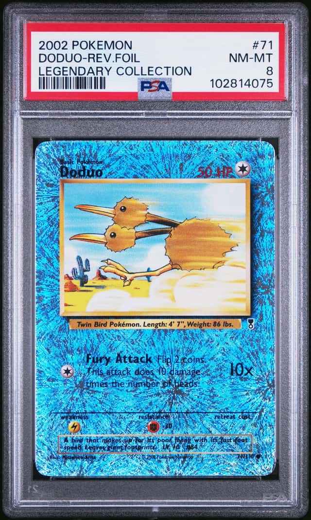 Doduo