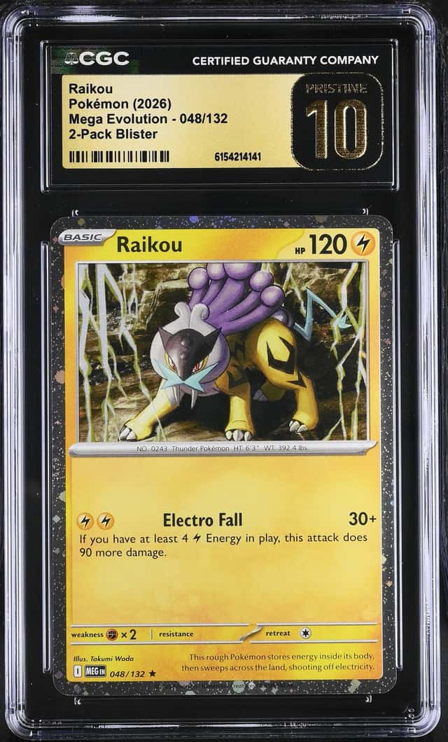 Raikou