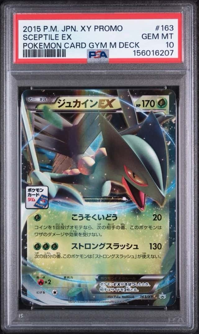 Sceptile EX