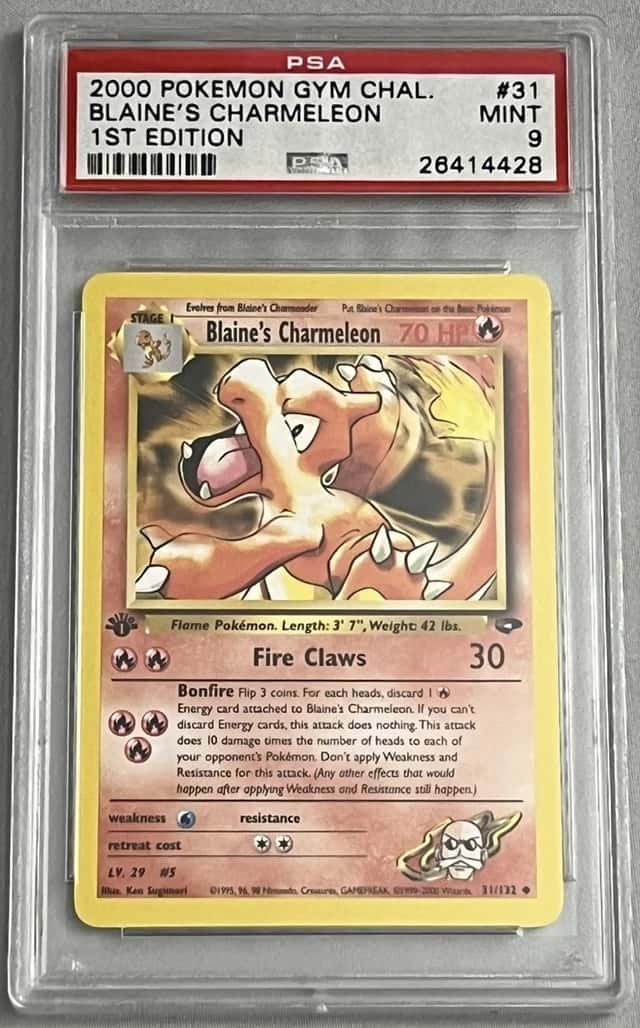 Blaine's Charmeleon