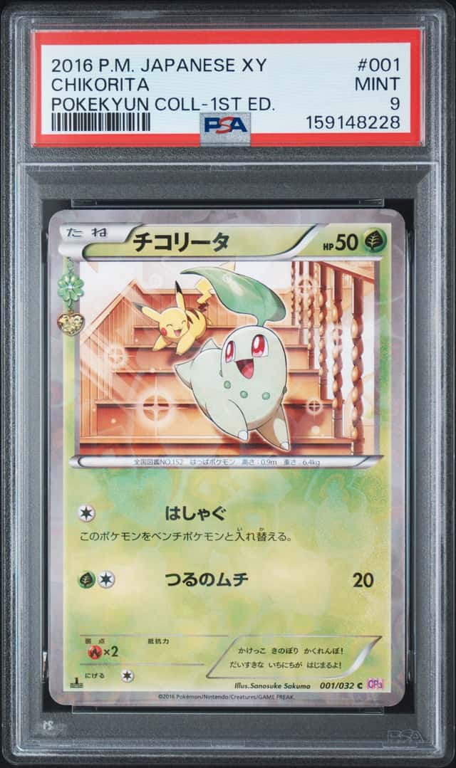 Chikorita