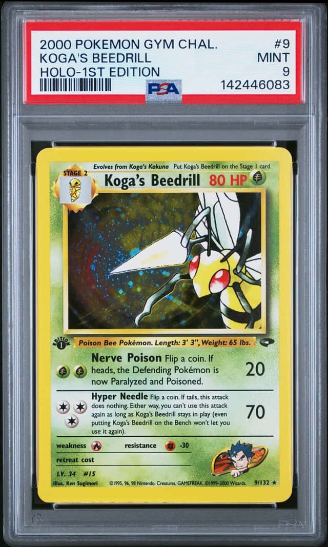 Koga's Beedrill