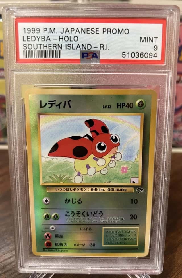 Ledyba