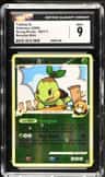 Turtwig Gl