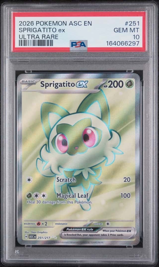 SPRIGATITO ex