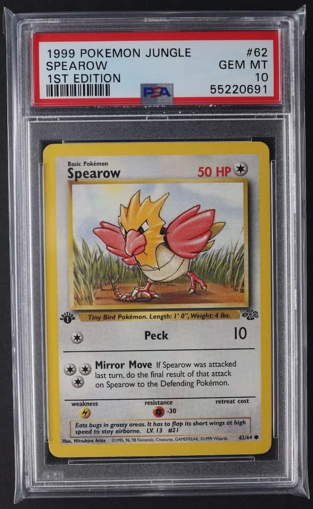 Spearow