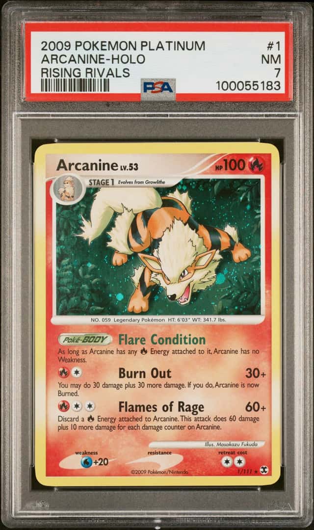 Arcanine