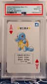 Squirtle