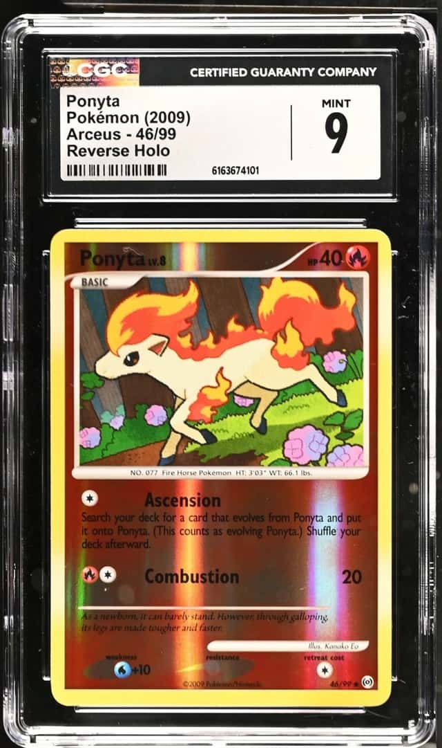 Ponyta