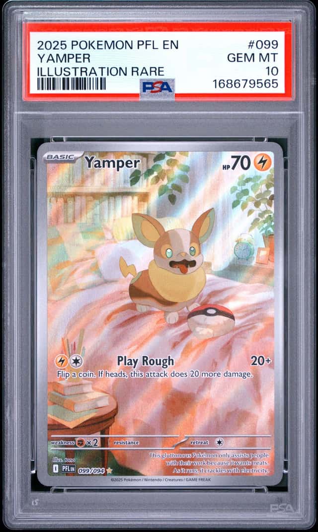 Yamper