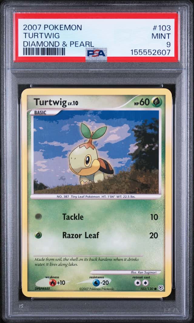Turtwig