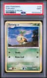 Turtwig