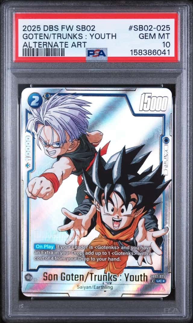 Goten/Trunks : Youth