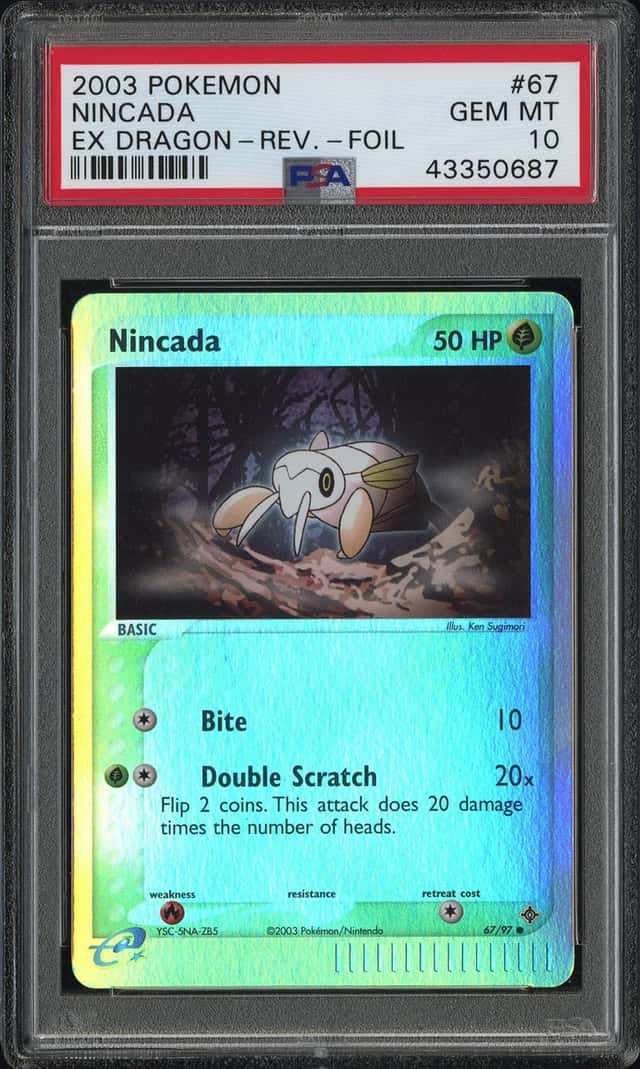Nincada