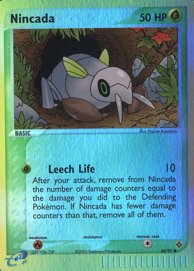 Reverse Holo