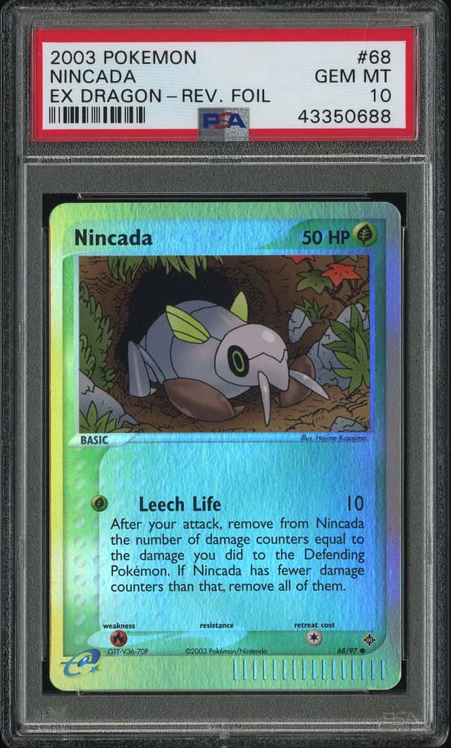 Nincada