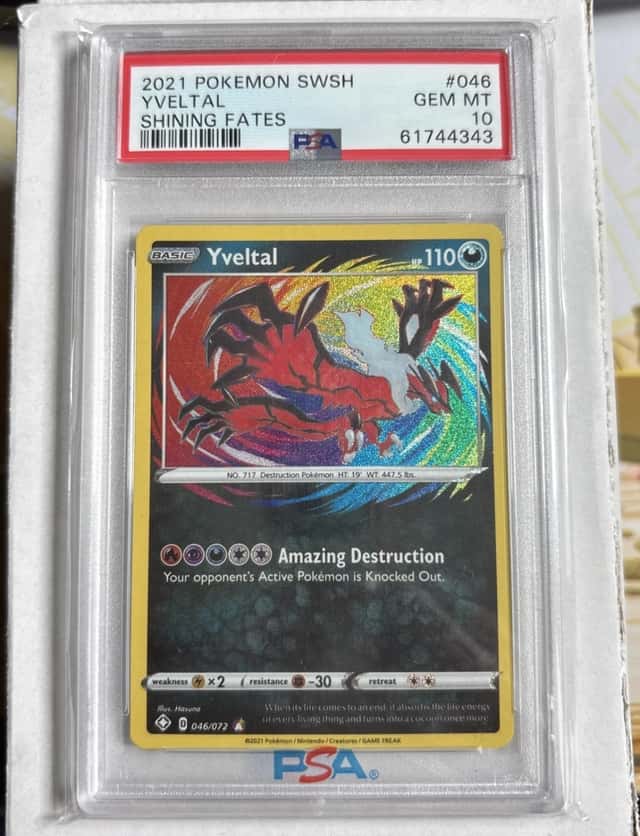Yveltal