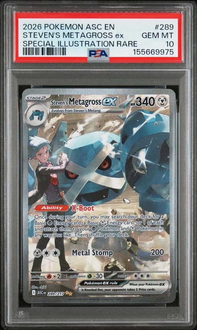 STEVEN'S METAGROSS ex