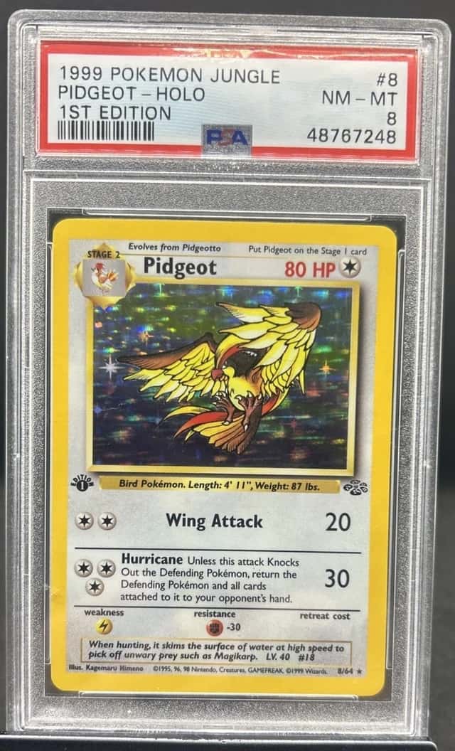 Pidgeot