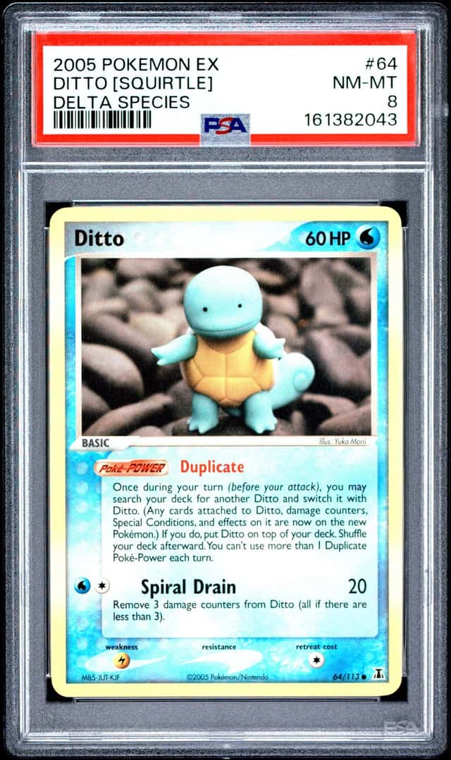 Ditto [Squirtle]