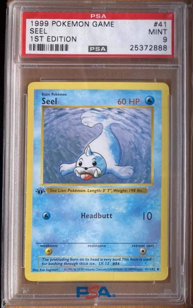Seel