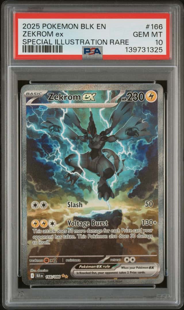 ZEKROM ex