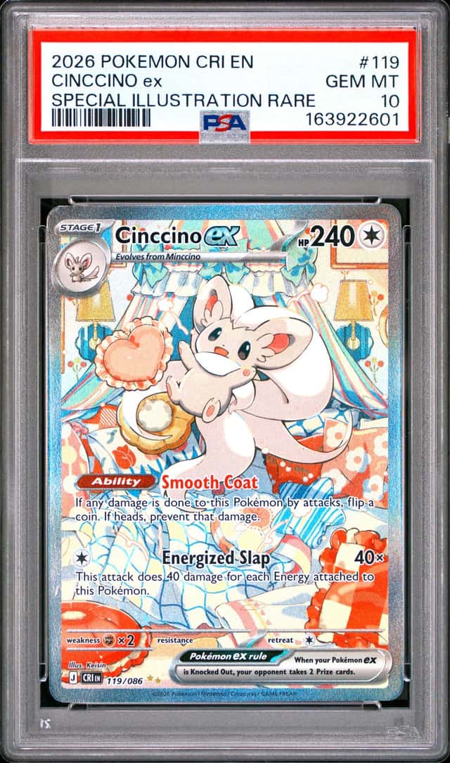 CINCCINO ex