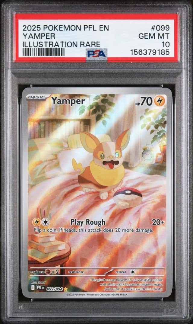 Yamper
