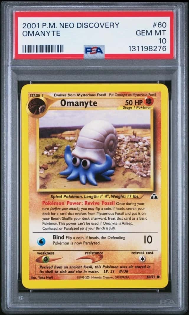 Omanyte